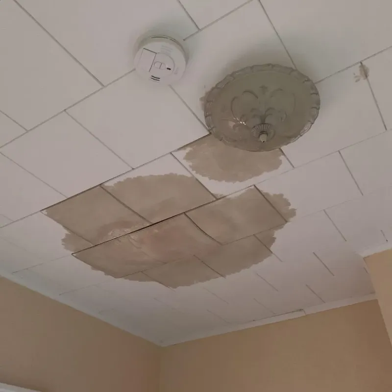 Ceiling Water Damage Repair in Ramsey County, MN