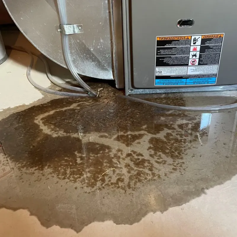 Pipe Burst and Leak Restoration in Ramsey County, MN