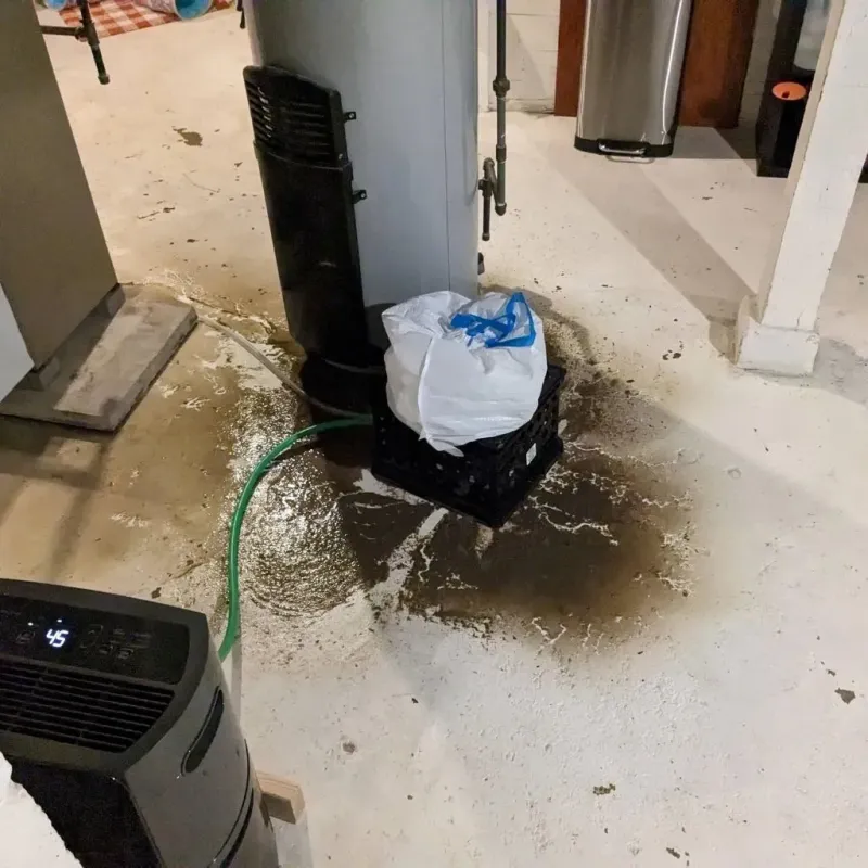 Sewage Backup Cleanup Service in Ramsey County, MN